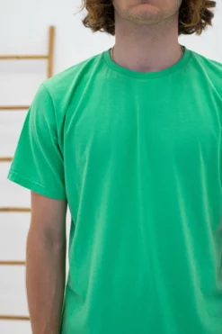 Homme Classic Organic Tee - Colorful Standard -Pulls et Sweats Soldes Boutique 03 PORTE ZOOM COLORFULSTANDARD CLASSIS ORGANIC TEE SPRINGGREEN 1800x1800 3