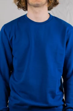 Homme Classic Organic Crew - Colorful Standard -Pulls et Sweats Soldes Boutique 03 PORTE ZOOM COLORFULSTANDARD ROYALBLUE 1800x1800 5