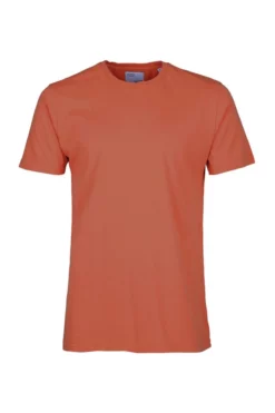Homme Classic Organic Tee - Colorful Standard -Pulls et Sweats Soldes Boutique 10 6d4ab451 1847 44f1 b219 7661b6493ddb 1800x1800
