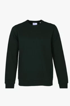 Homme Classic Organic Crew - Colorful Standard