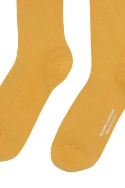Collection Chaussettes Chaussettes Classic Organic - Colorful Standard -Pulls et Sweats Soldes Boutique 2 fa5d953b a598 475f 92bb f9d79743bb9d 1800x1800 3