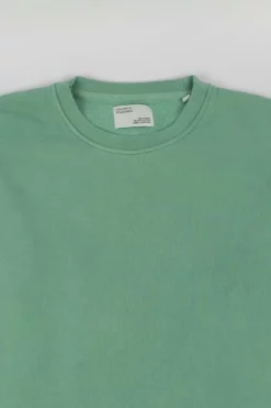 Homme Classic Organic Crew - Colorful Standard -Pulls et Sweats Soldes Boutique CLA23028 seafom green focus 1800x1800
