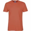 Homme Classic Organic Tee - Colorful Standard