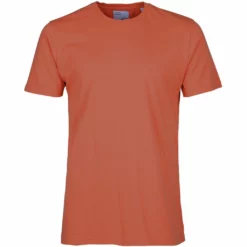 Homme Classic Organic Tee - Colorful Standard