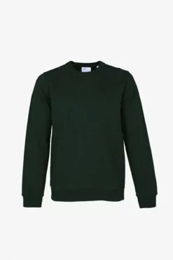Homme Classic Organic Crew - Colorful Standard -Pulls et Sweats Soldes Boutique sweat hunter green 1 1800x1800 3